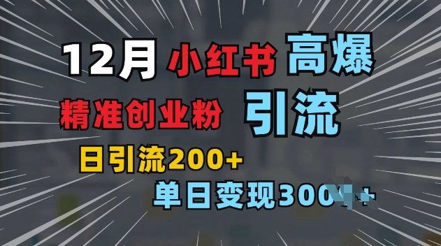 小红书一张图片“引爆”创业粉，单日+200+精准创业粉 可筛选付费意识创业粉【揭秘】-副业网