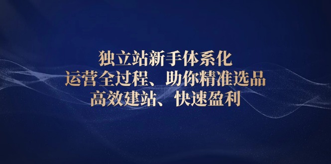 独立站新手体系化 运营全过程，助你精准选品、高效建站、快速盈利-副业网