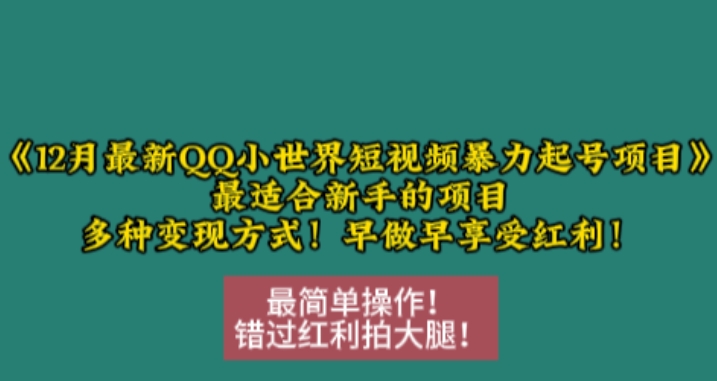 12月最新QQ小世界短视频暴力起号项目，最适合新手的项目，多种变现方式-副业网