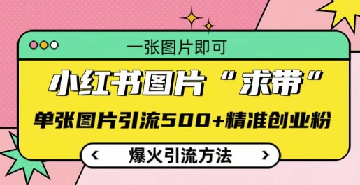 小红书图片‘求带’爆火引流法，单张图片引流500+精准创业粉【揭秘】-副业网