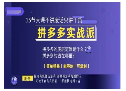 朋哥电商(拼多多实战派)，15节大课不讲废话只讲干货，简单粗暴 能落地 可复制-副业网