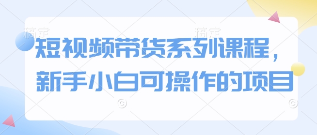 短视频带货系列课程，新手小白可操作的项目-副业网